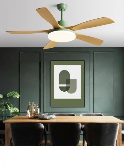 48 Inch New Modern Design Frequency Conversion Remote Control 5 ABS Blades Ceiling Fan With Light