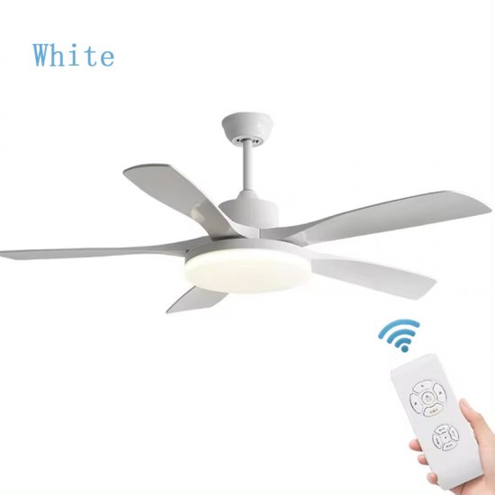 48 Inch New Modern Design Frequency Conversion Remote Control 5 ABS Blades Ceiling Fan With Light