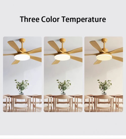 56 Inch Three Color Temperature Optional ABS Blade Double Control Decoration Ceiling Fan Light